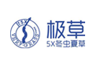 5X極草
